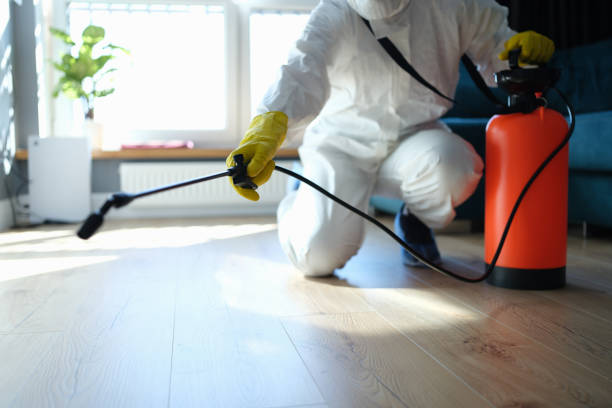 Reliable Biohazard Cleanup contractor in Pioneer, CA by Trauma Clean Pros